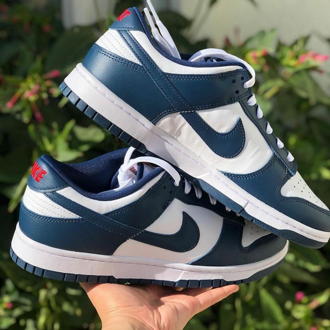 NIKE DUNK LOW 藍綠色 白藏青 紅色 男鞋 DD1391-400  / 預購