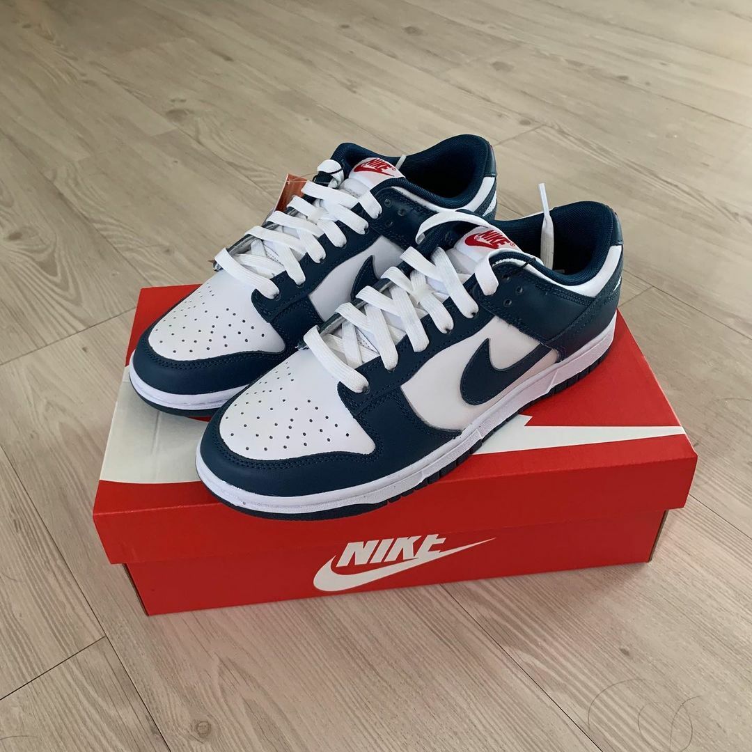 NIKE DUNK LOW 藍綠色 白藏青 紅色 男鞋 DD1391-400  / 預購