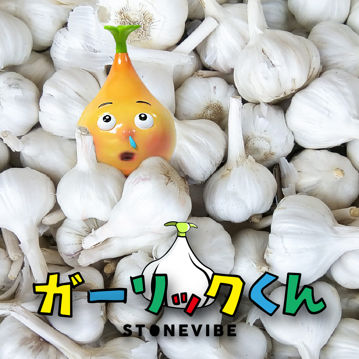 蒜頭君 Garlic-Kun