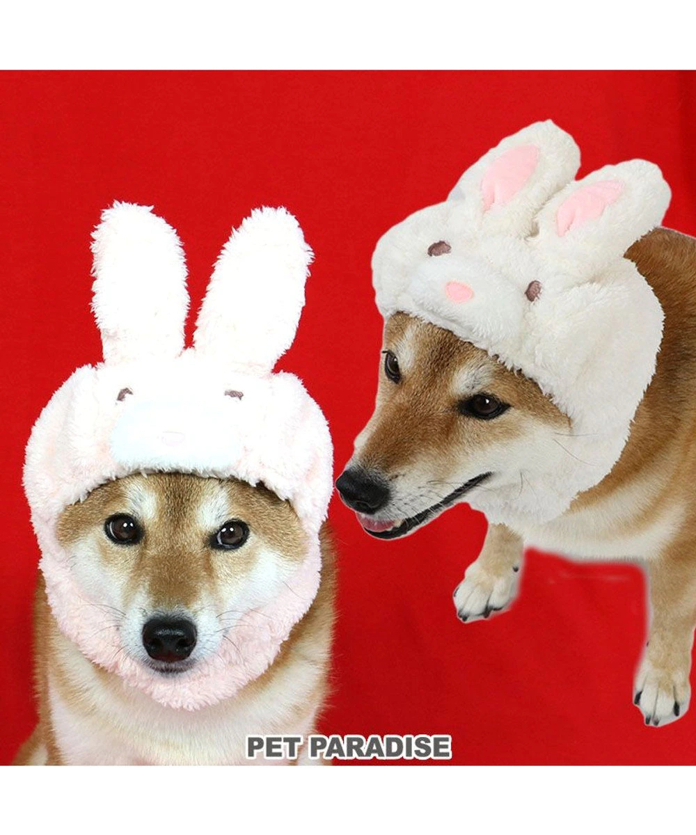 【Pet Paradise】Rabbit Hat