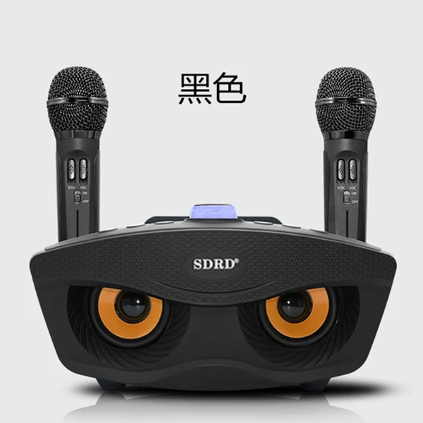 Japan JTSK SDRD portable KTV wireless audio integrated karaoke karaoke machine - family karaoke set (P3044)