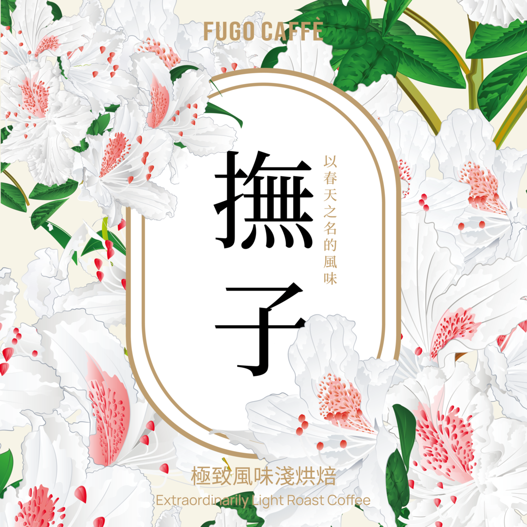 新批次！耶家雪啡 迷霧山谷《撫子》