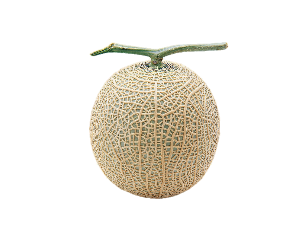 中國大陸網紋瓜/個