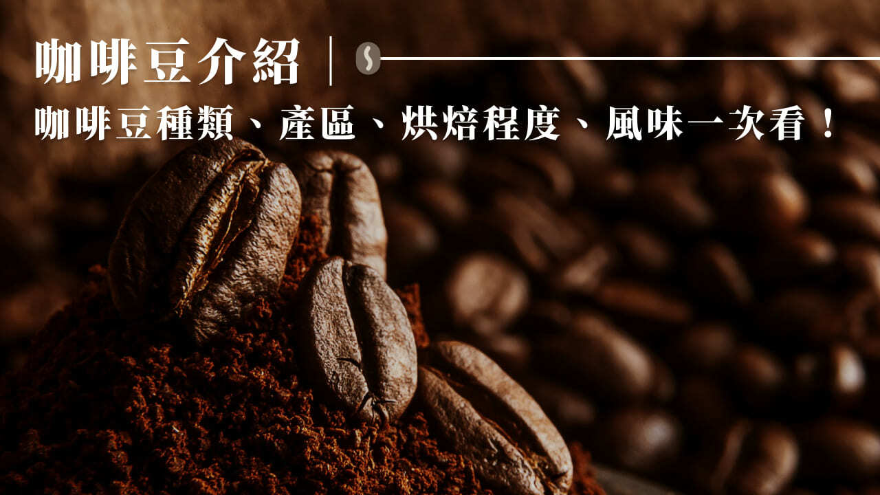 咖啡豆怎麼挑？咖啡豆種類、產地及咖啡豆選購4大重點一次看！