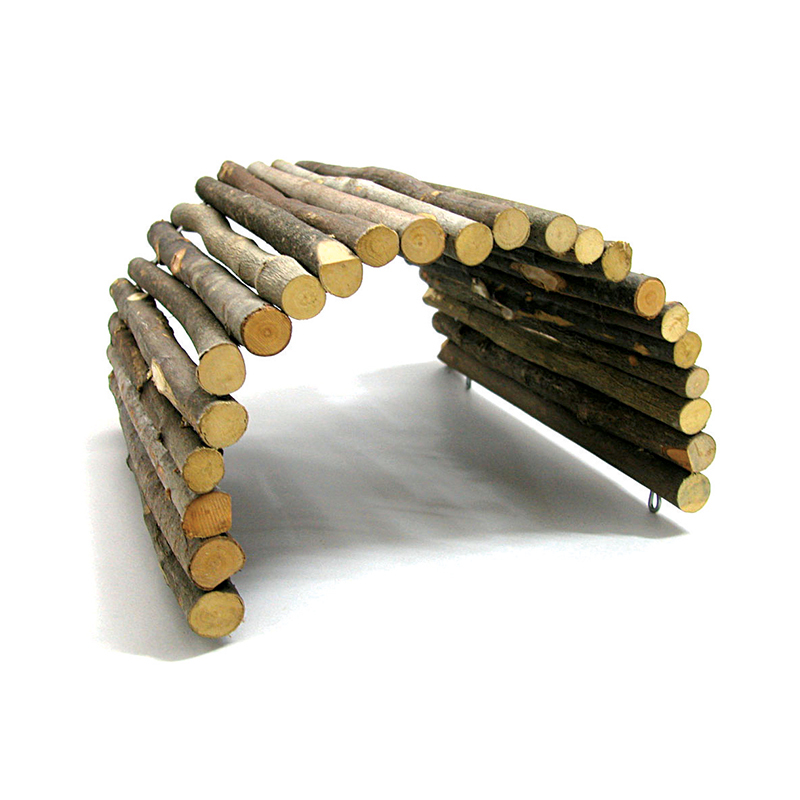 AM 兔 / 龍猫隧道