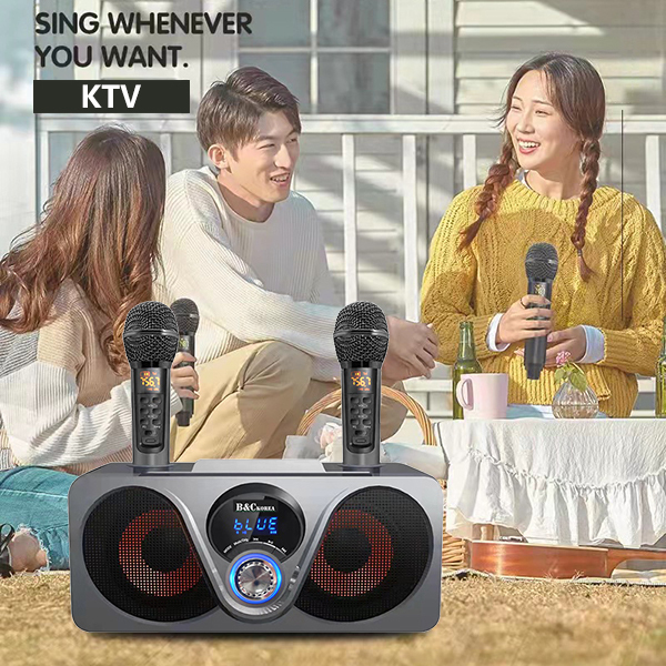 Korea B&C professional-grade home K song HIFI bass bluetooth audio dual wireless microphone chorus dual speaker speaker (B0234)