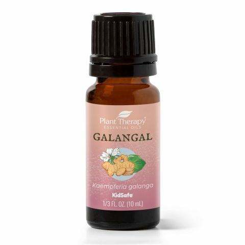 美國 Plant Therapy 高良薑根 Galangal Root 精油 10ml