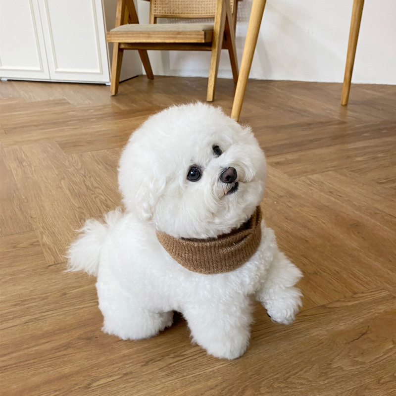 Eyou 針織毛線圍巾