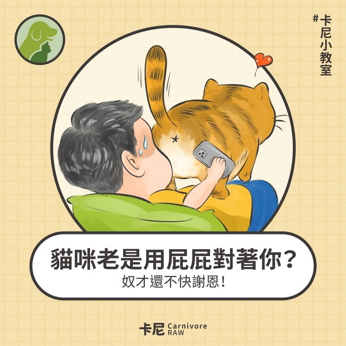 貓屁股對著臉
