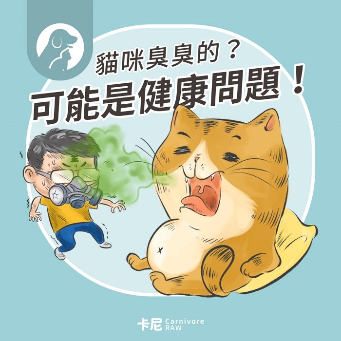 貓咪口臭