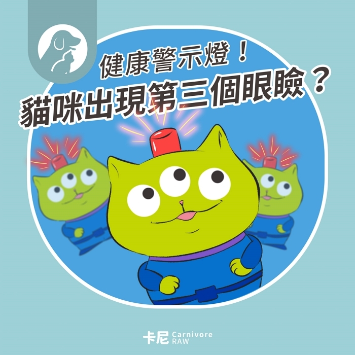 貓咪三眼怪