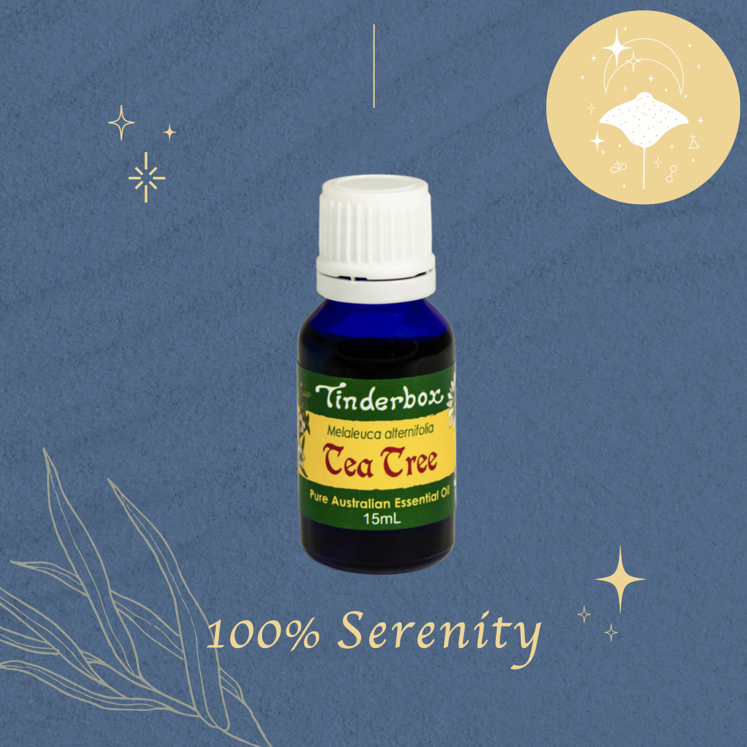 茶樹 | 精油 15ml