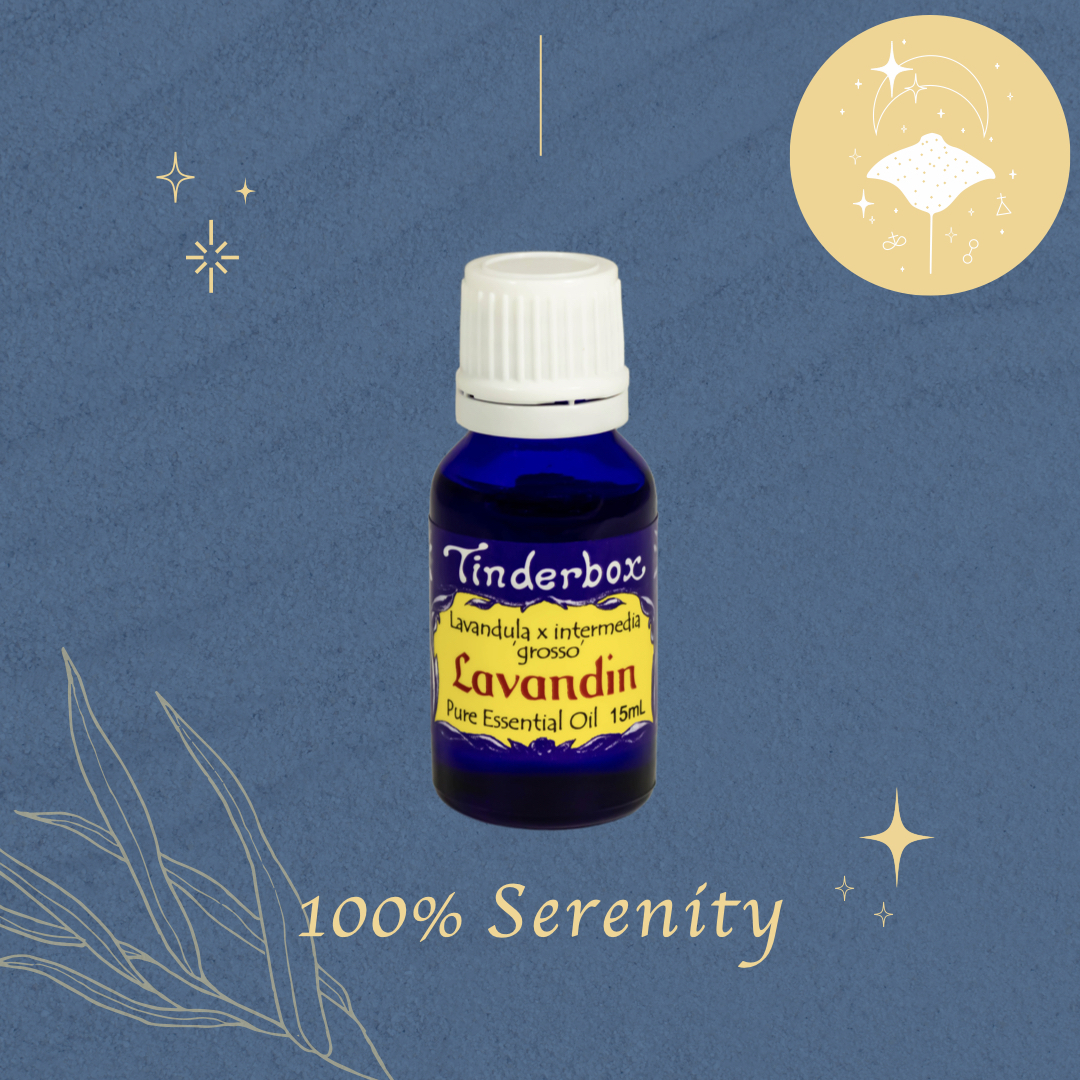 醒目薰衣草 | 精油 15ml