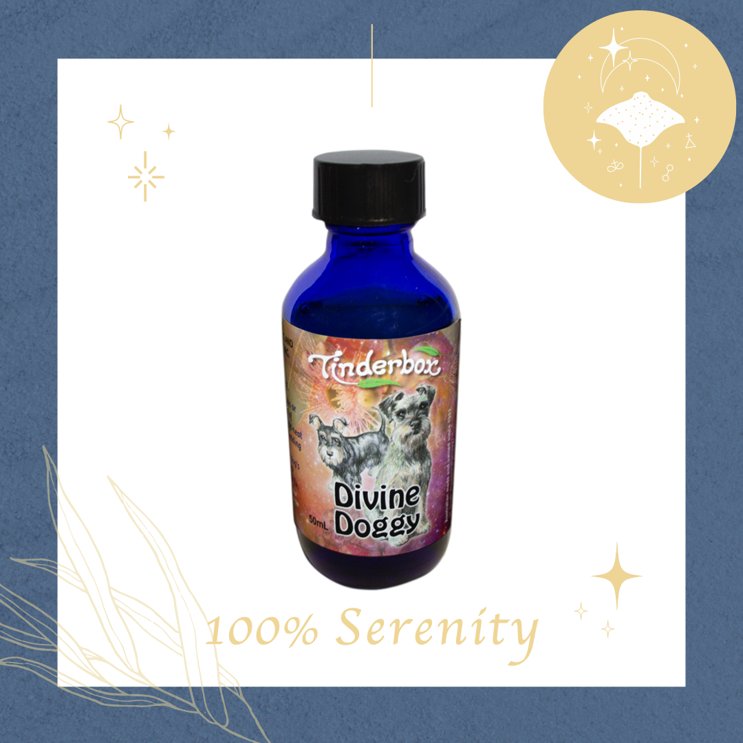 好狗命防護 | 去味精油 50ml