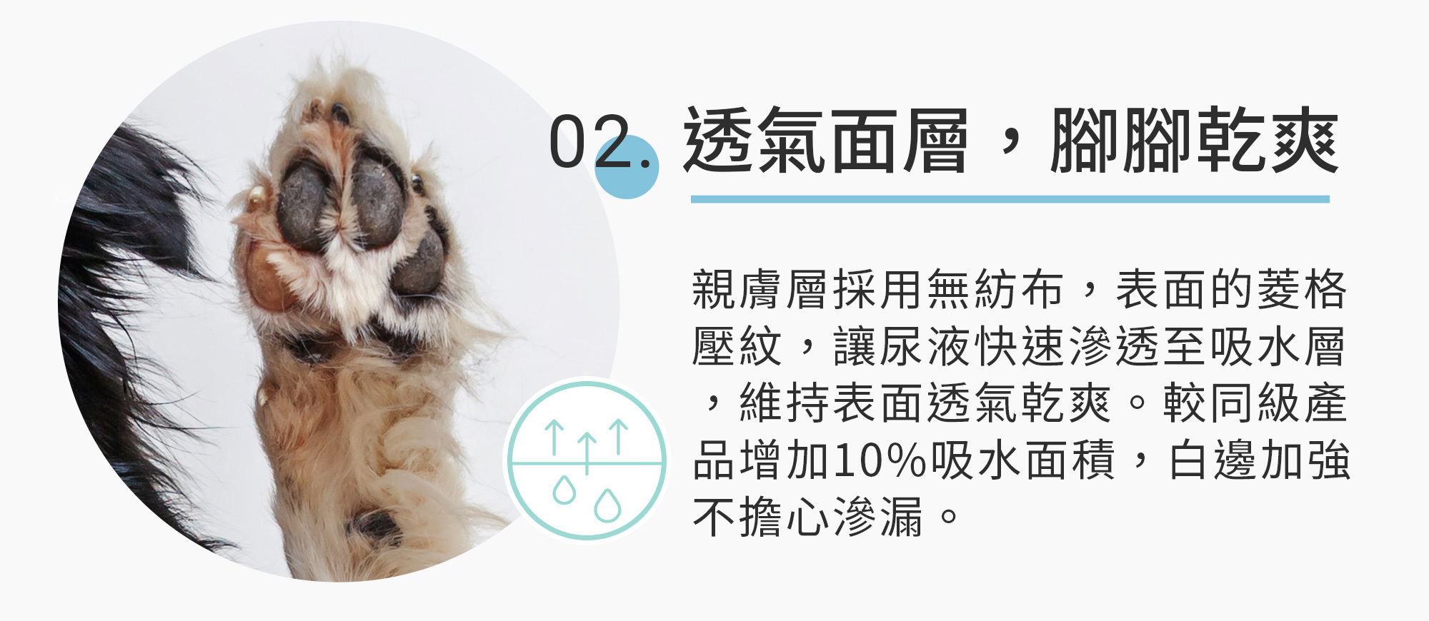 獸醫嚴選貓狗專用Clean Paws 乾腳丫尿布墊｜獸研所網路商店