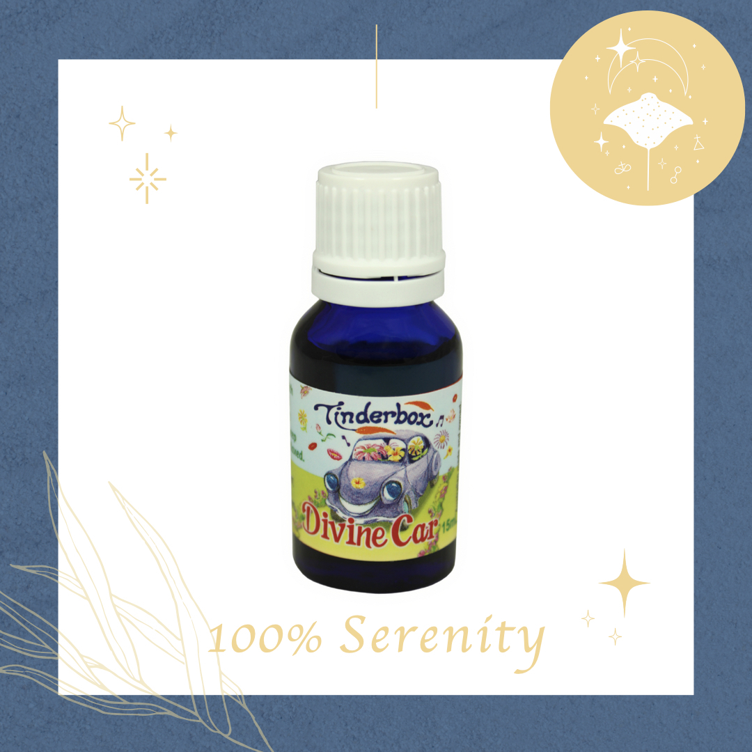 好好開香車 | 精油組 15ml