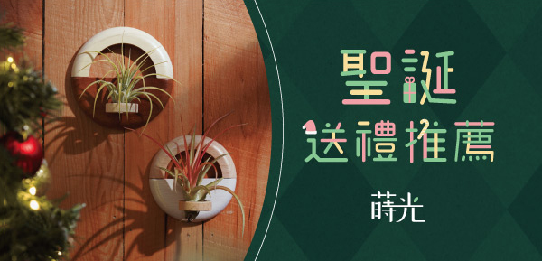 聖誕送禮 空氣鳳梨