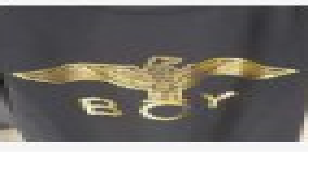 [S] BOYLONDON EAGLE BOY KID'S T-SHIRT,BLACK/GOLD, B92TS1000K99 (SBB107)