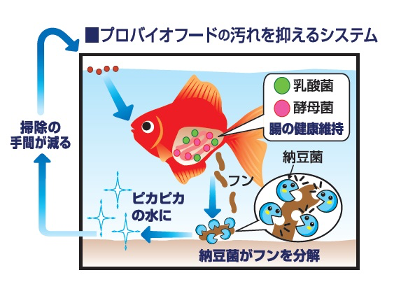 GEX 金魚元氣 益生善玉菌魚糧 增艷版