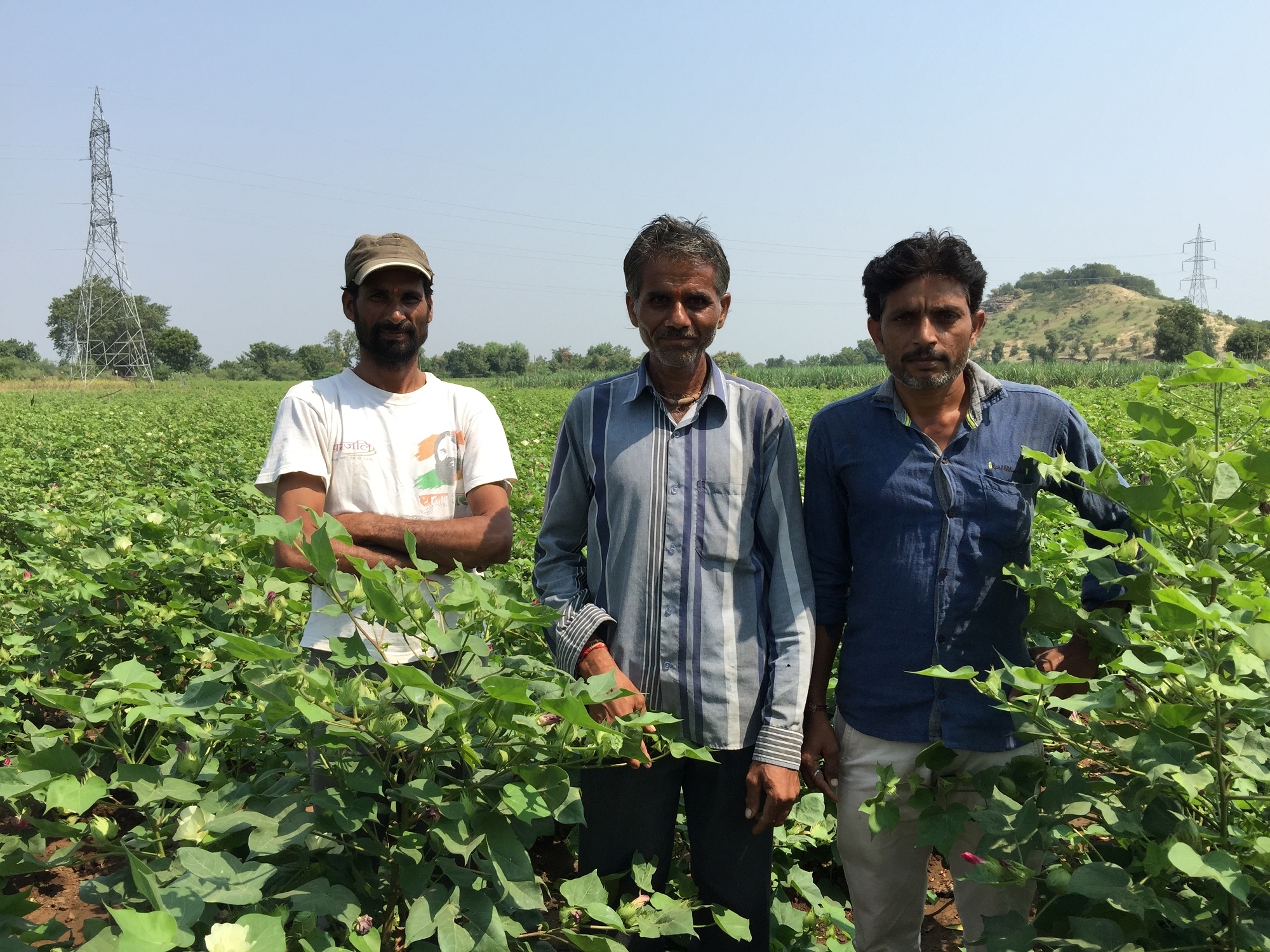 農夫們站在自己的有機棉田裡，對於栽培成果引以為傲。