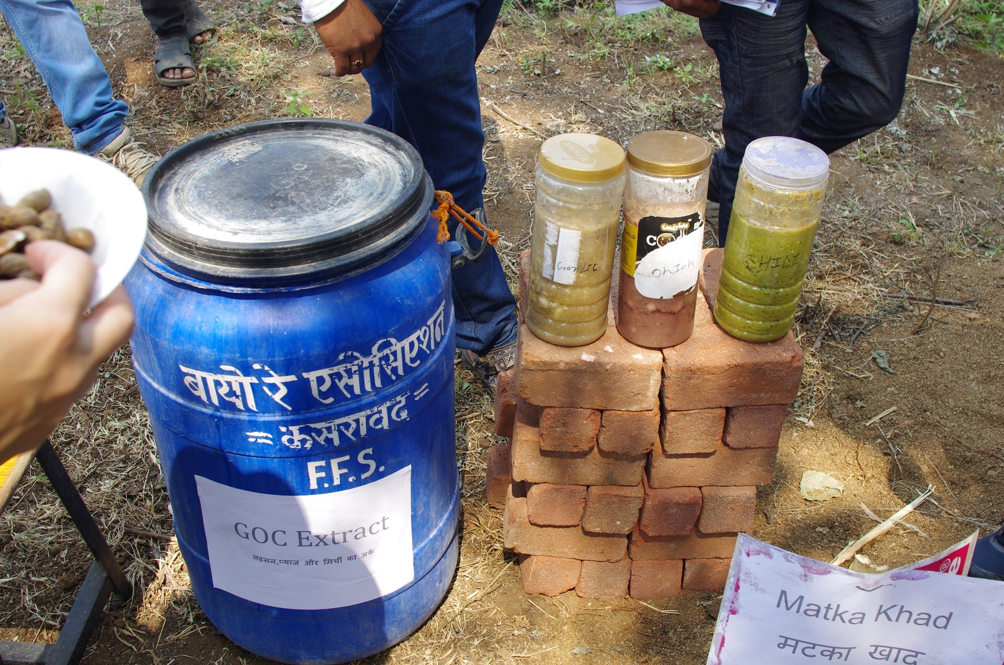 用大蒜、洋蔥、辣椒打碎混合的自製GOC天然殺蟲劑