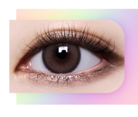 [半年拖][散光] Lensme Torica 6 Month Holoris Choco  彩妝隱形眼鏡｜每盒1片