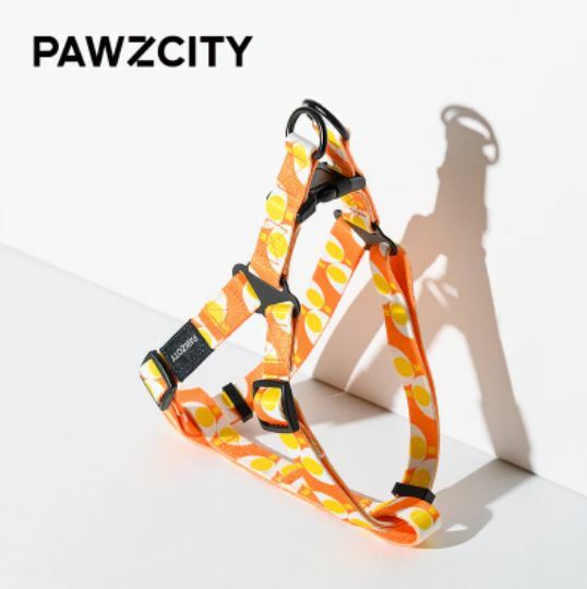 PAWZCITY 狗用胸背帶拖帶套裝 - 橙黃 - L