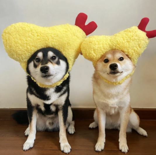 Kashima 天婦羅寵物帽子 - S