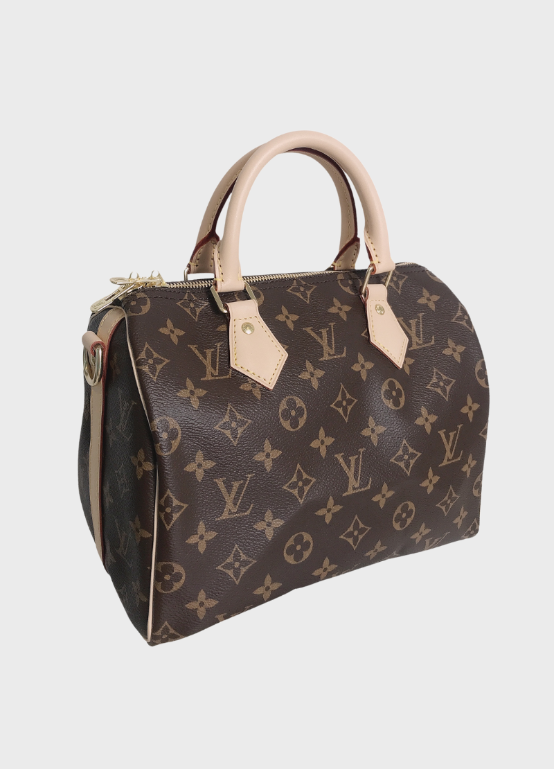 LOUIS VUITTON Speedy 25 Monogram Canvas City Handbag