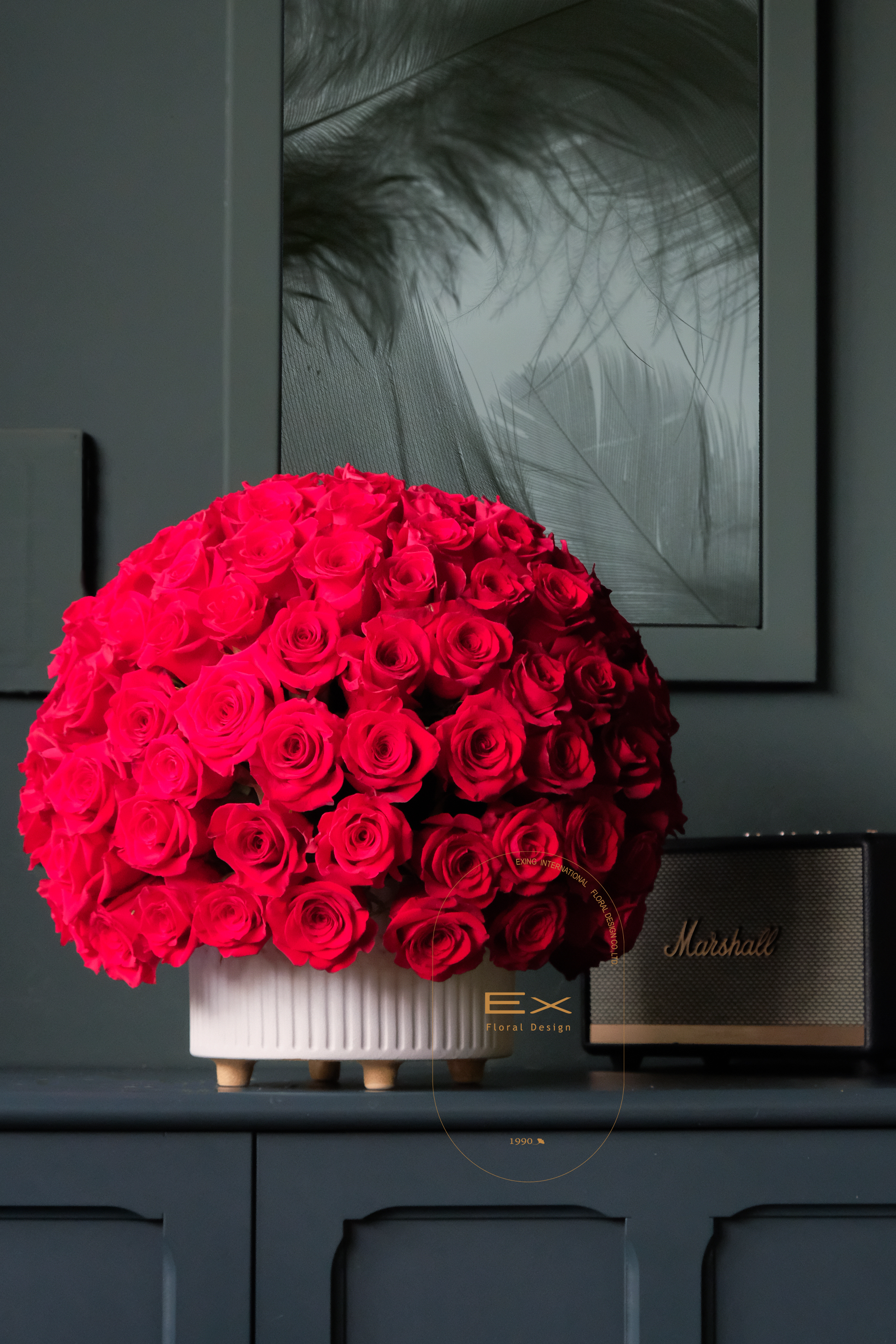 厄瓜多頂級紅玫 Ecuadorian Roses