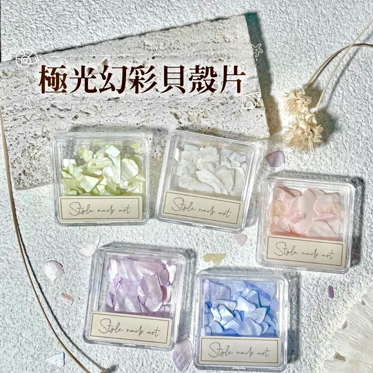 極光幻彩貝殼片