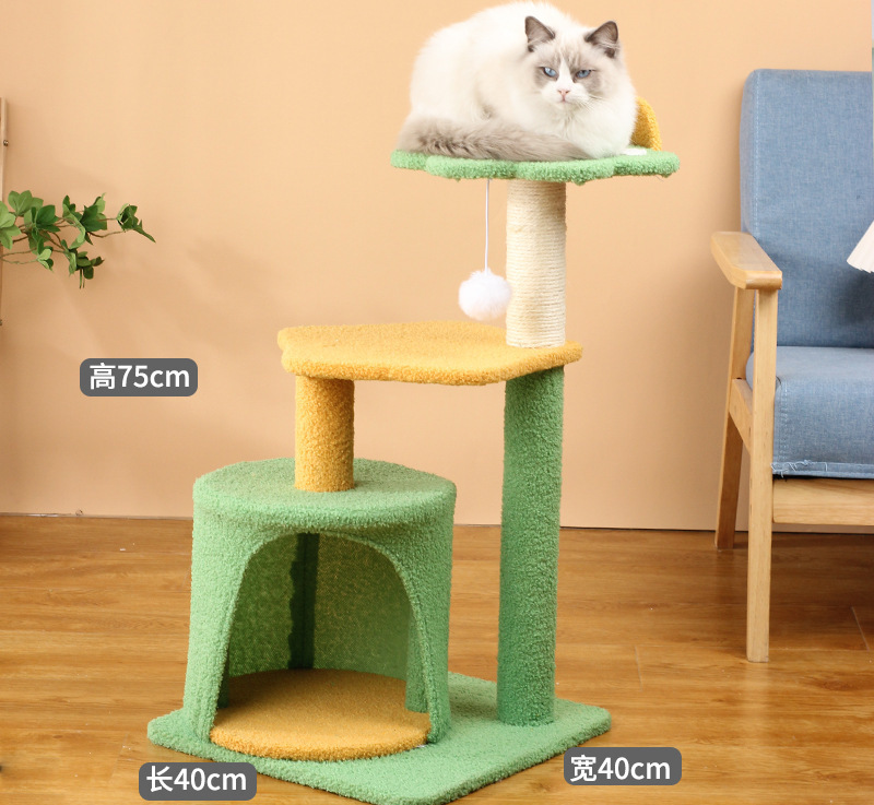 貓跳台 茁壯