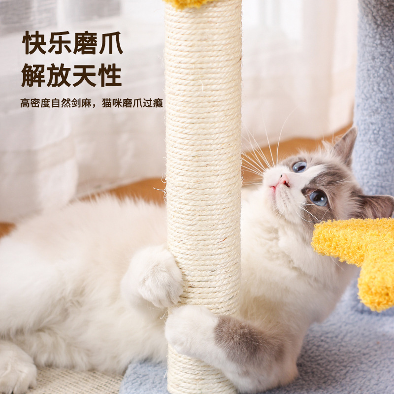 貓跳台 藍色星月