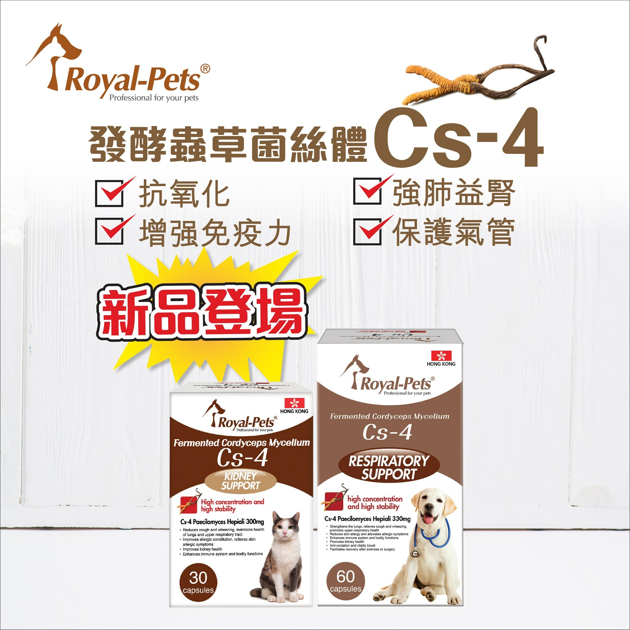 Royal-Pets Cs-4 貓用發酵蟲草菌絲體