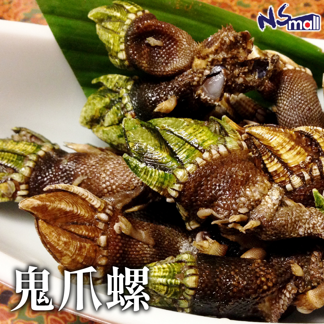 鬼爪螺 (龜之爪) 約1kg/份 【熟食用 不可生食】