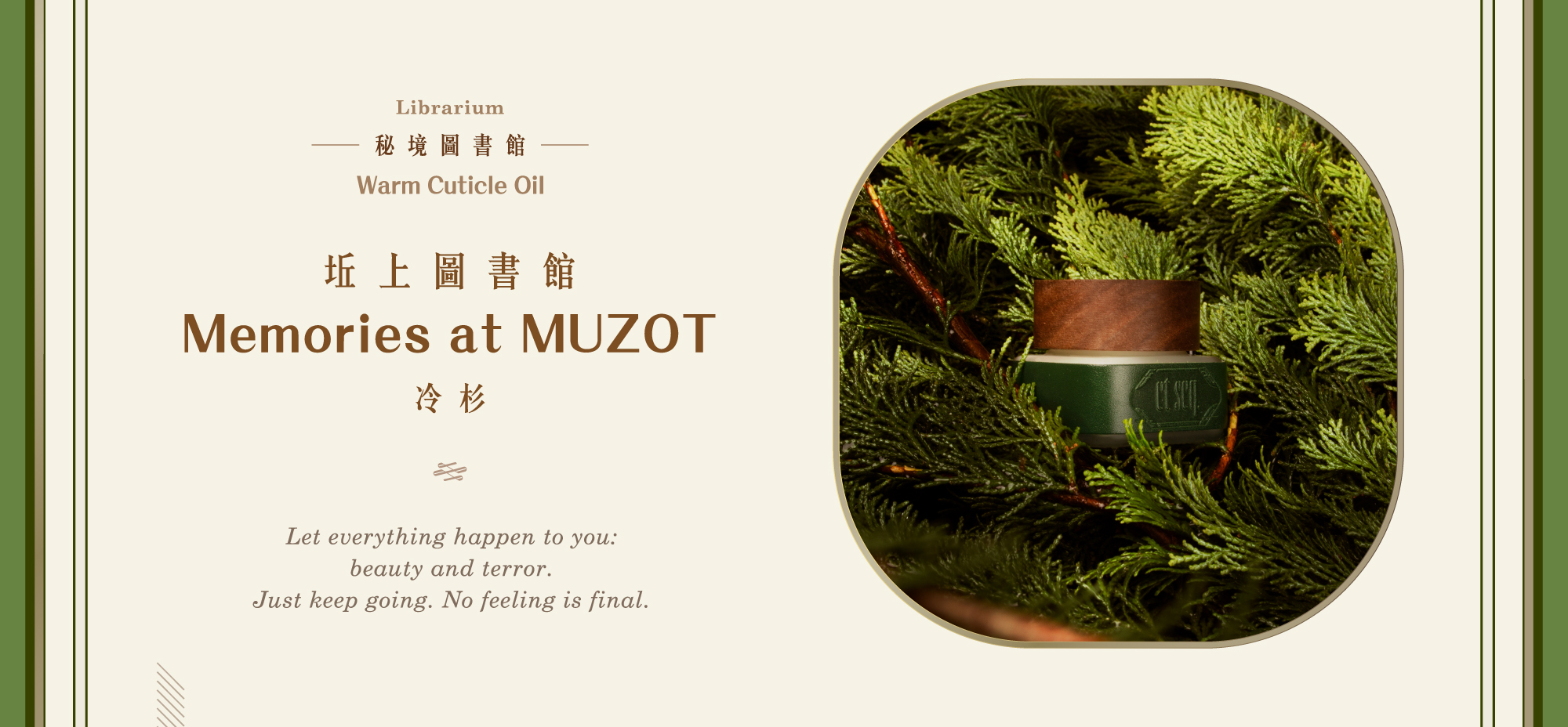 指緣油蠟燭-坵上圖書館（冷杉）