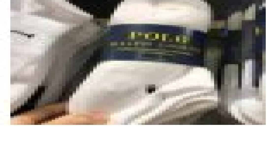 [S] PRL 6 PAIRS CLASSIC COTTON SPORT SOCKS,WHITE, 827001KPO-WHITE (SRL50)