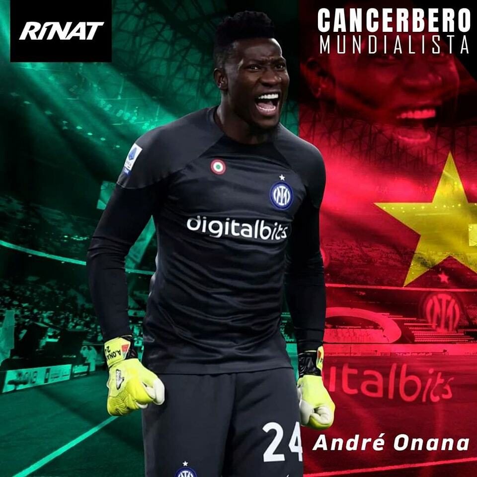 Rinat Egotiko Stellar Pro 比賽用頂級龍門手套(黃色)