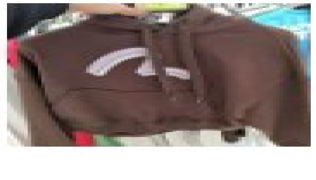 [S] EVISU THREE DIMENTIONAL BLOCK BIG HILLS CROP HOODIES,BROWN, EU4FTS951-BROWN (SEV97)