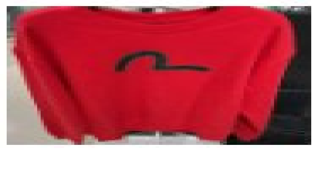 [S] EVISU BIG LOGO PRINTED SWEATSHIRT,RED, EU5UTS943-RED (SEV99)