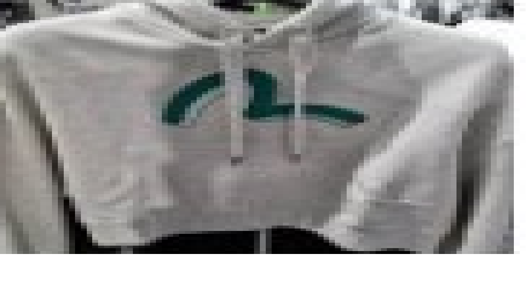 [S] EVISU THREE DIMENTIONAL BLOCK BIG HILLS CROP HOODIES,OATMEAL, EU4FTS951-OATMEAL (SEV100)