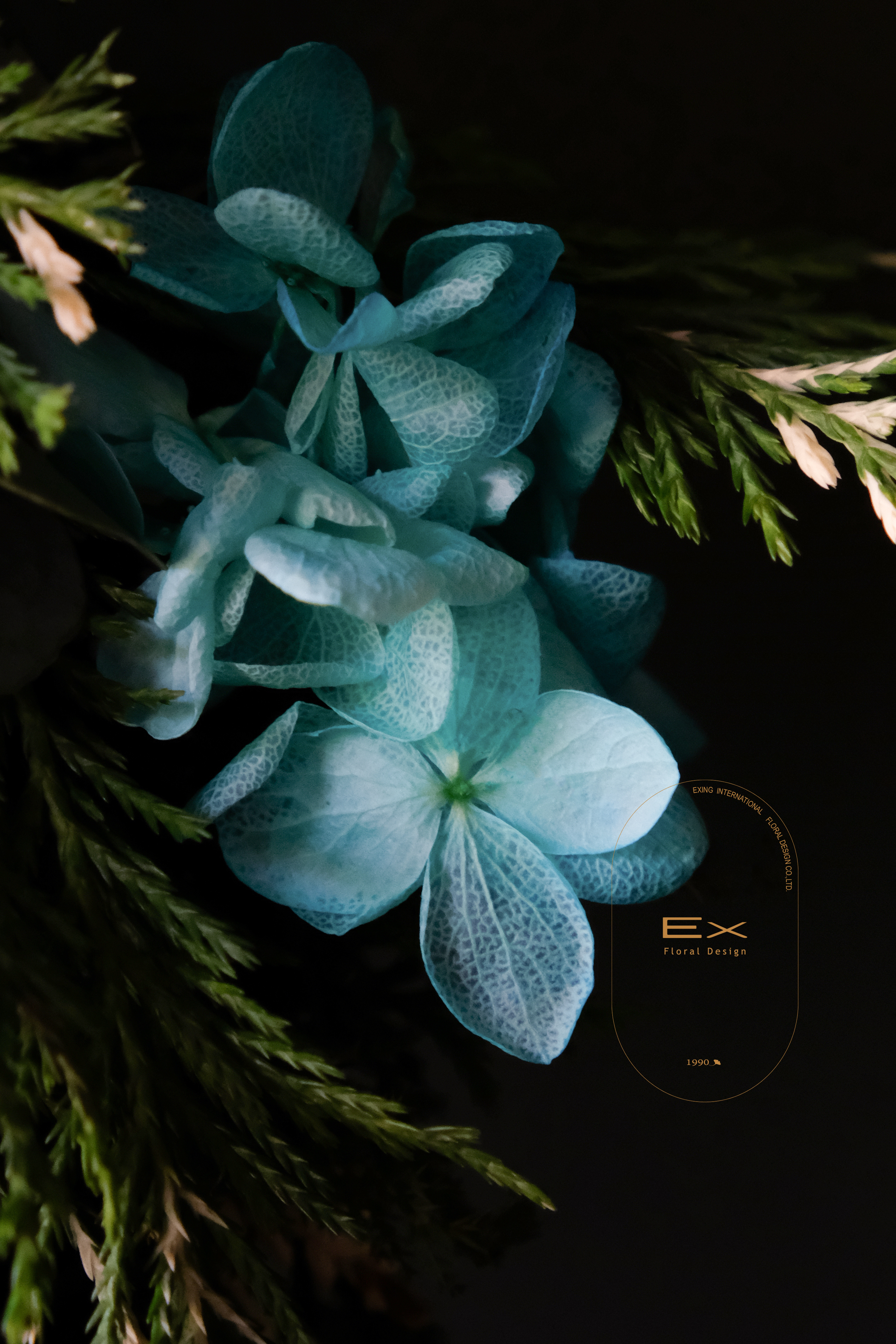 頂級雪松 · 蒂芙尼 ” 聖誕環 Tiffany Blue