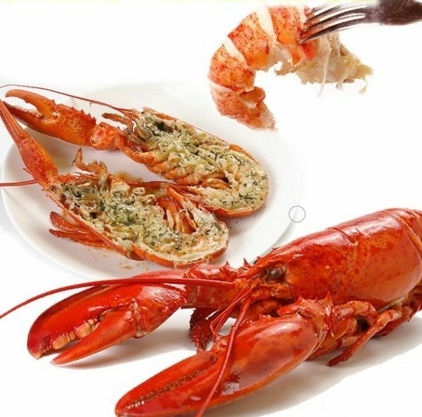 加拿大 原隻波士頓熟龍蝦 350g