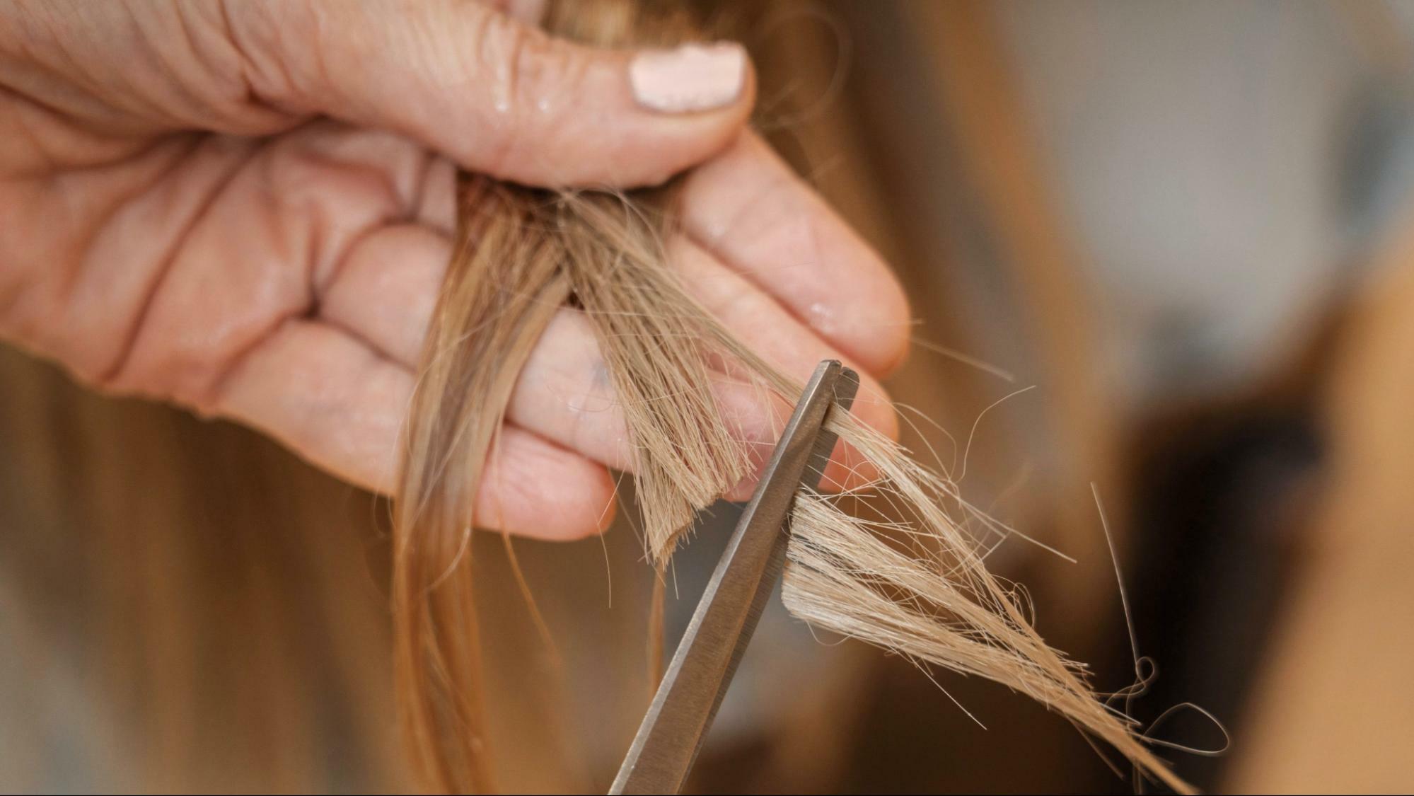 頭髮毛躁可以定期修剪髮尾，維持頭髮健康