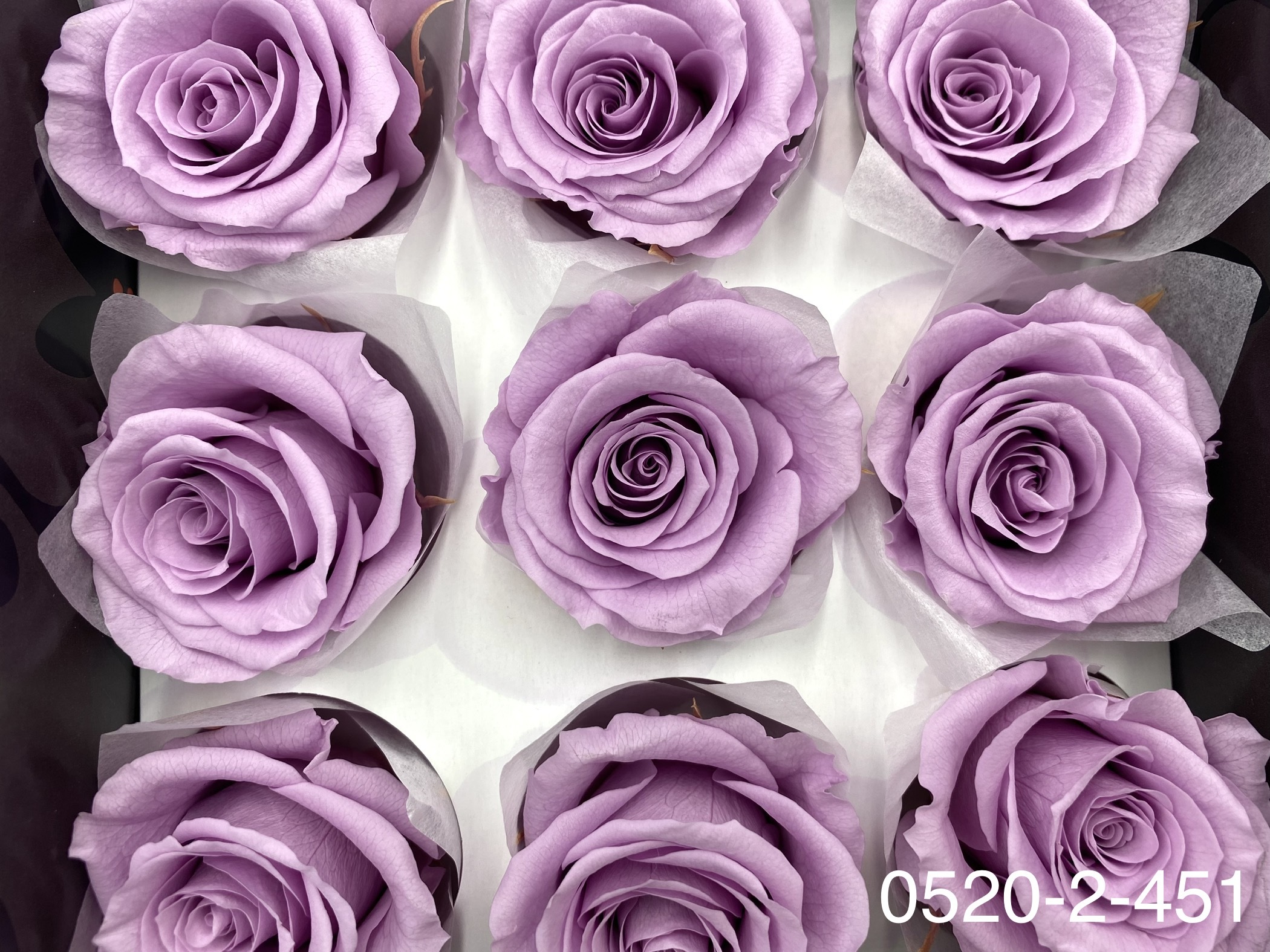 日本不凋大輪玫瑰(M-9朵) 05202-451