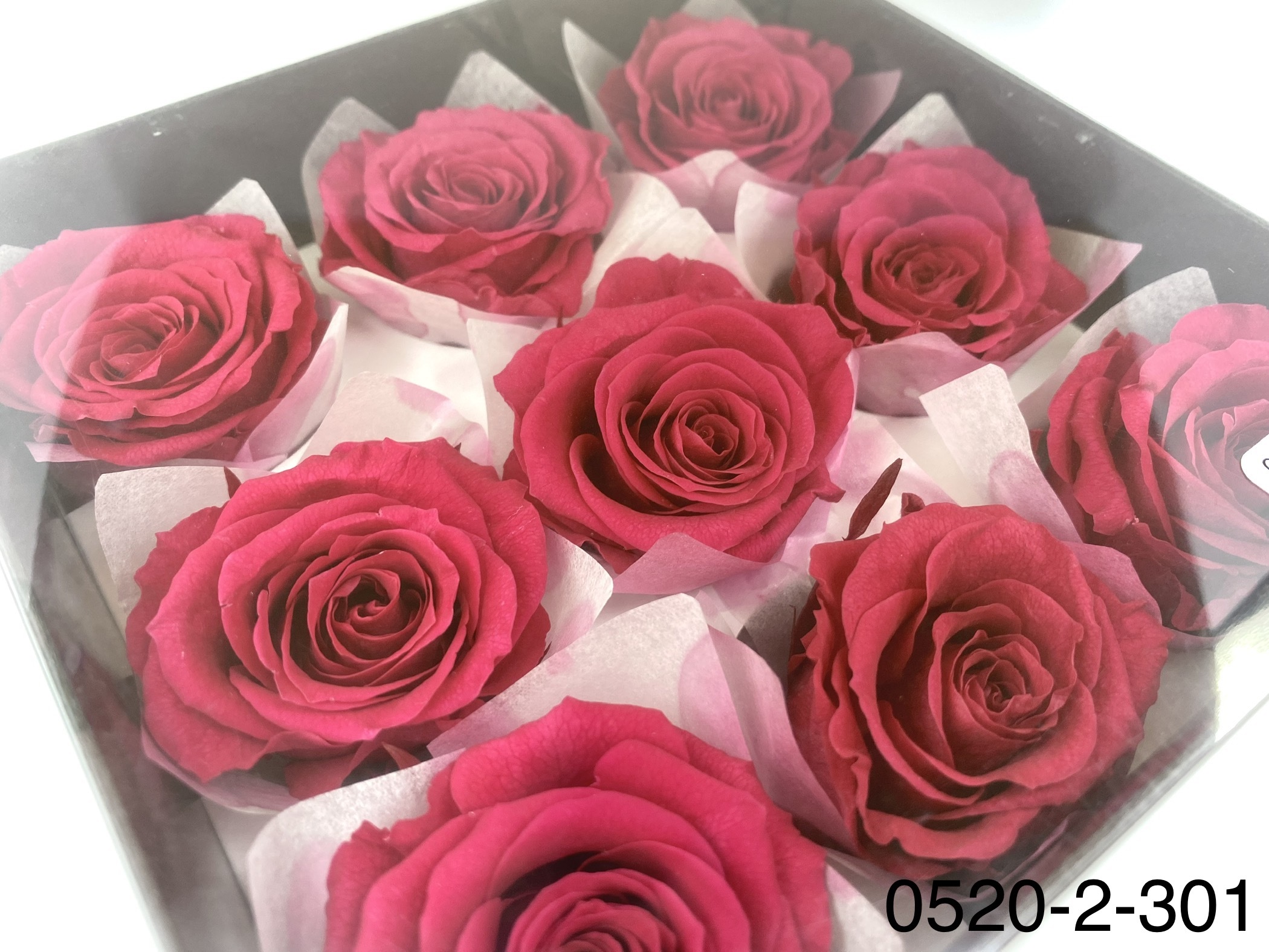 日本不凋大輪玫瑰(M-9朵) 05202-301