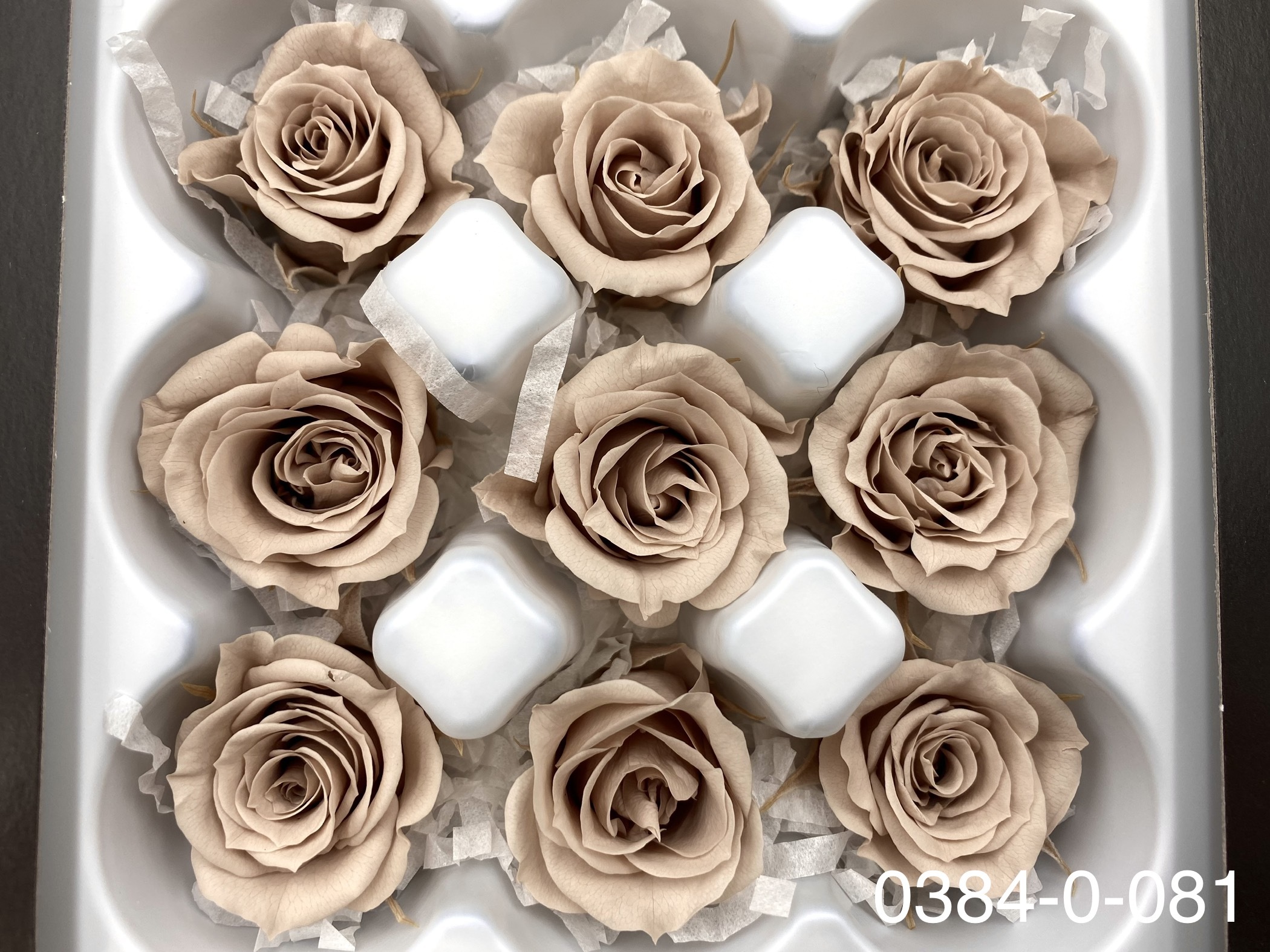 日本不凋小輪玫瑰(9朵) 03840-081