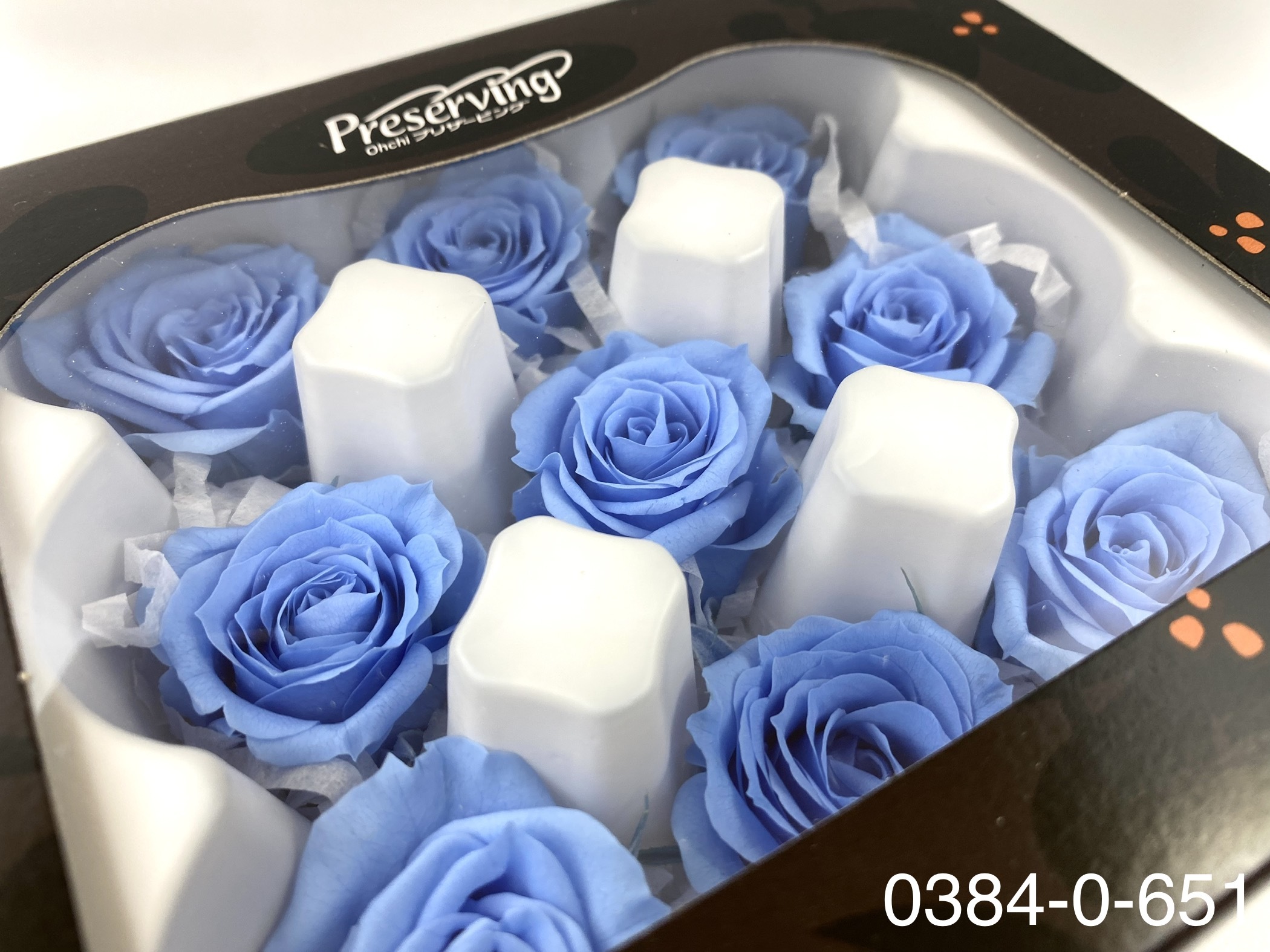 日本不凋小輪玫瑰(9朵) 03840-651