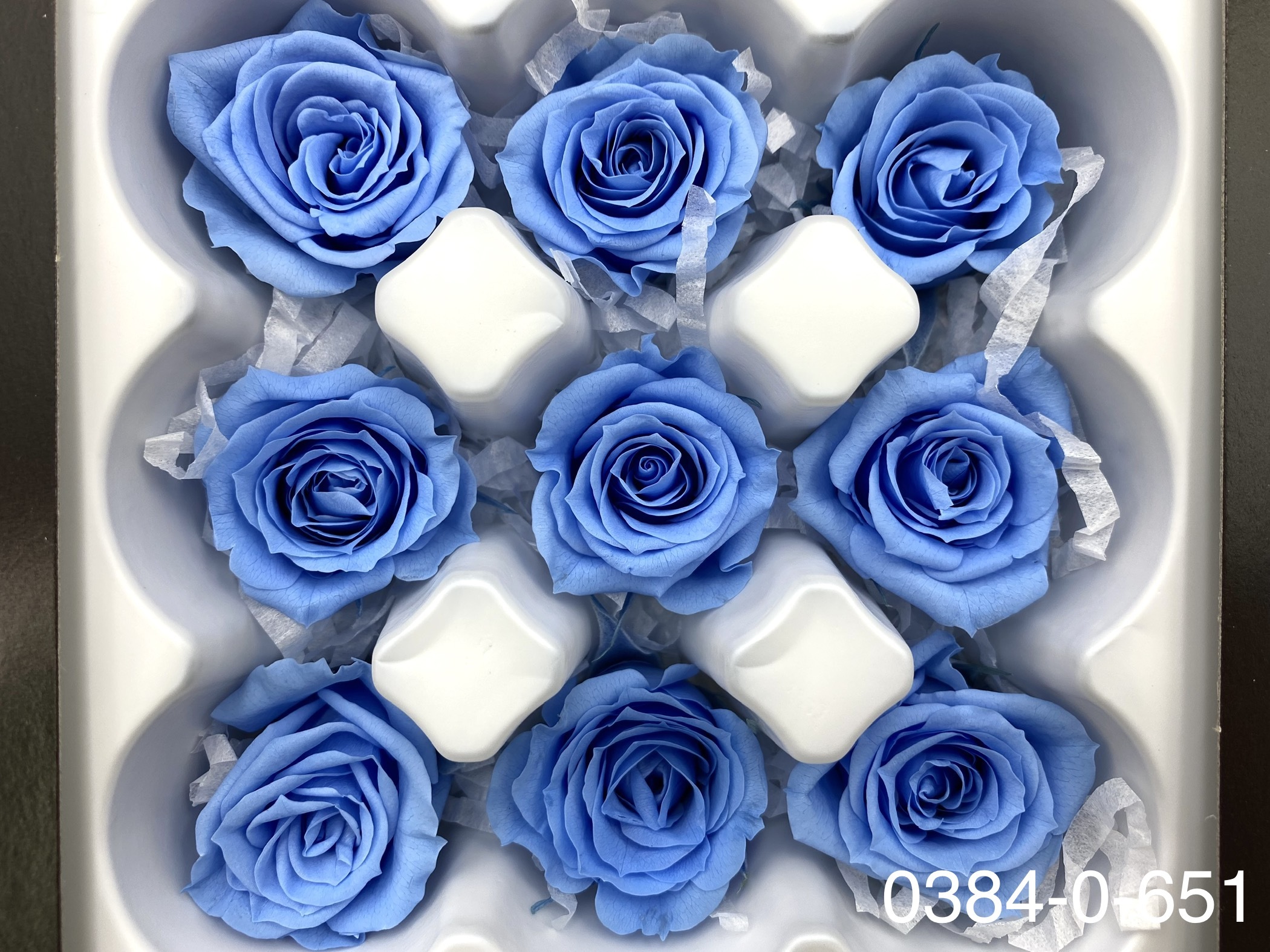 日本不凋小輪玫瑰(9朵) 03840-651