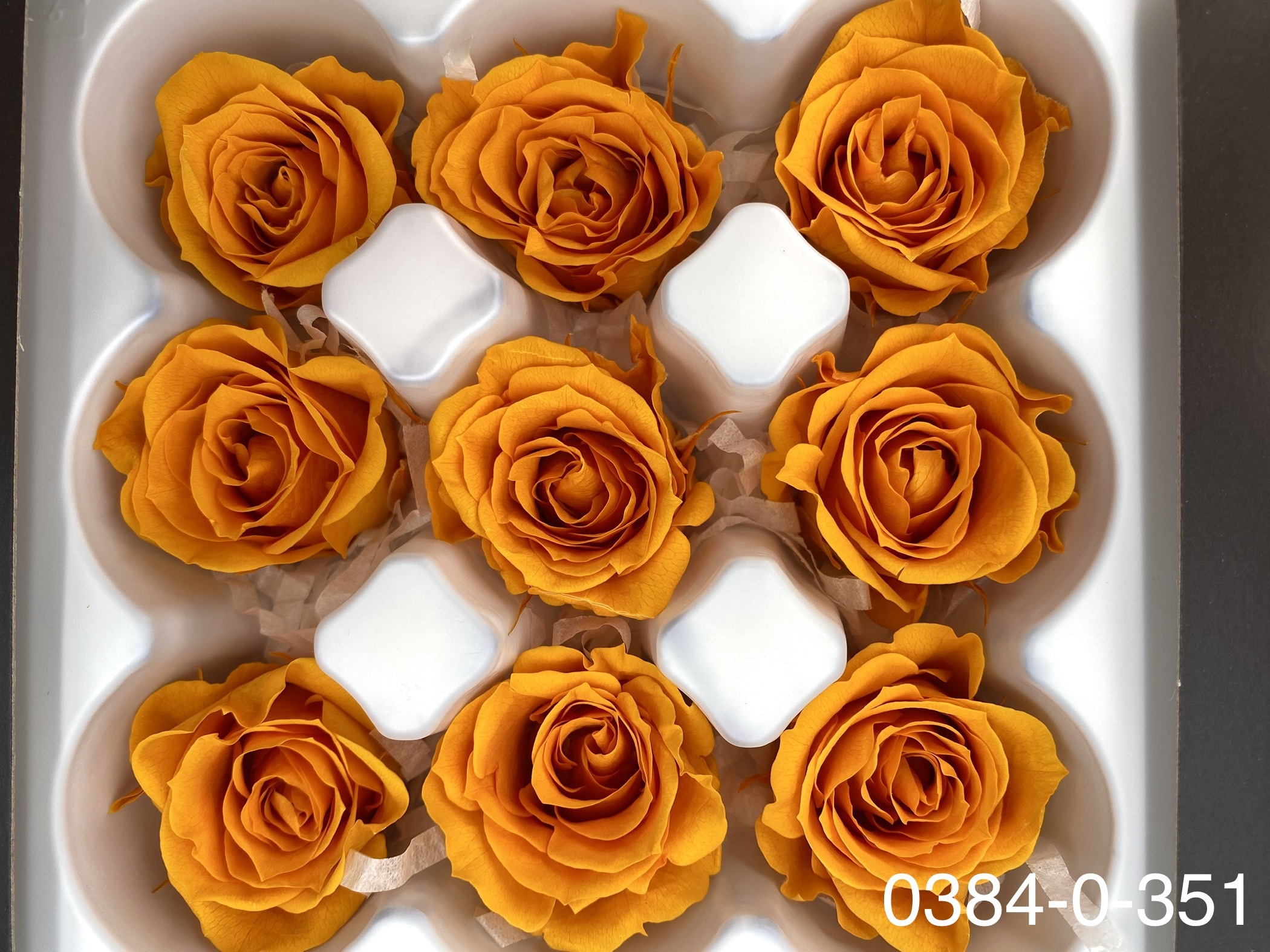 日本不凋小輪玫瑰(9朵) 03840-351